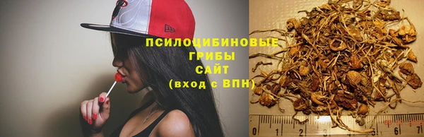 прущий лед Нязепетровск