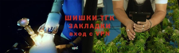 крисы Няндома