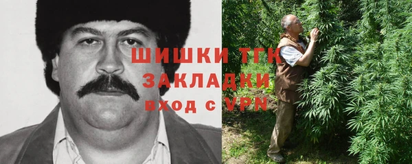 крисы Няндома
