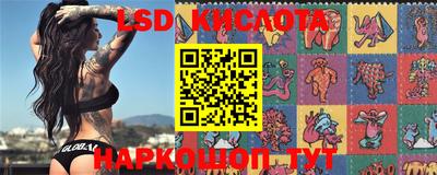 шишки Балахна