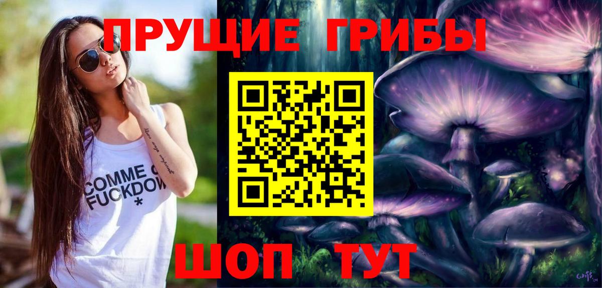 Псилоцибиновые грибы Psilocybe  Апрелевка 