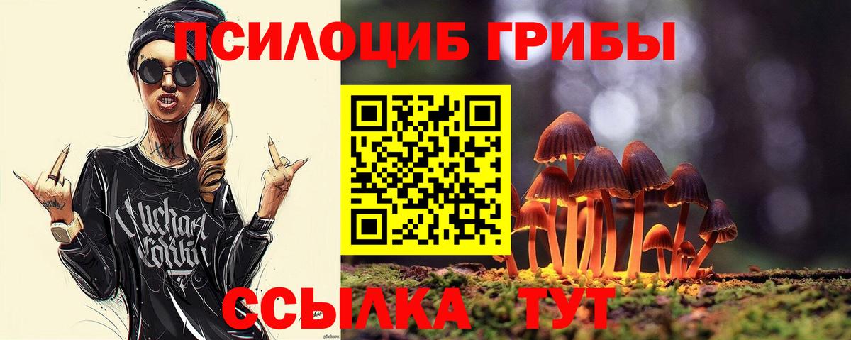 Апрелевка  Псилоцибиновые грибы MAGIC MUSHROOMS  Вход с VPN 